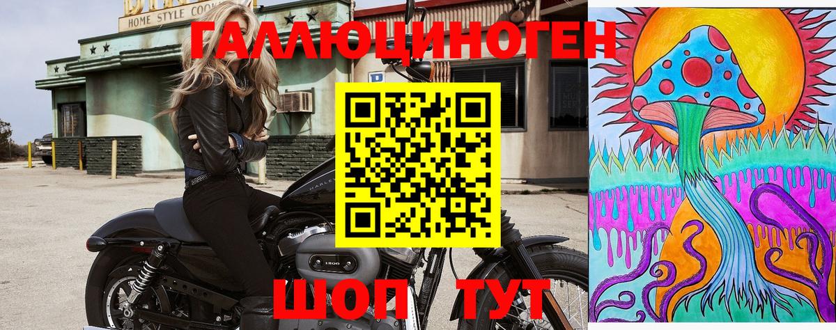 Псилоцибиновые грибы Cubensis  Вход с VPN  Спасск-Дальний 